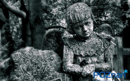 Zabytkowy cmentarz położony w dzielnicy Jeżyce, u zbiegu ulic Nowina i Szpitalnej w Poznaniu. Obecni