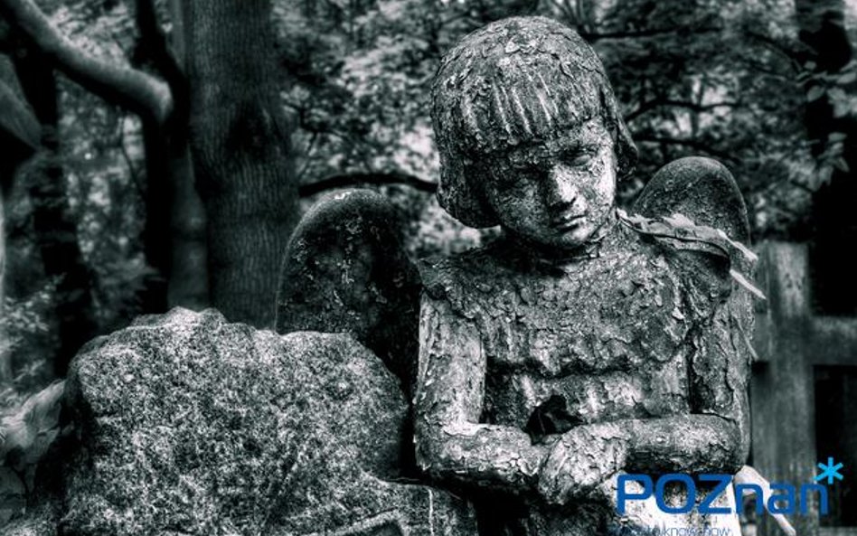 Zabytkowy cmentarz położony w dzielnicy Jeżyce, u zbiegu ulic Nowina i Szpitalnej w Poznaniu. Obecni