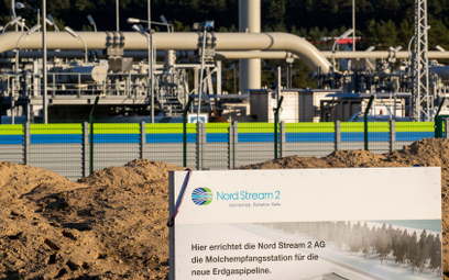 Wiceminister: Skandaliczne słowa prezydenta Niemiec o Nord Stream 2