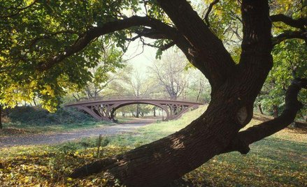 Central Park