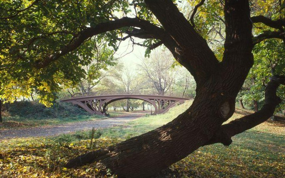 Central Park