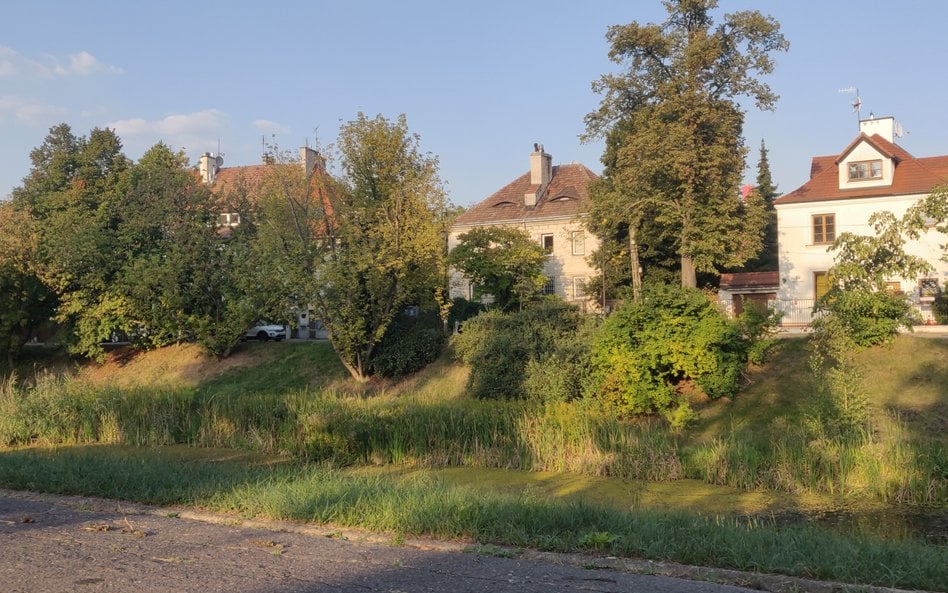 Fosa Legionów Dąbrowskiego, malowniczy akwen otaczający dawny fort carski zmaga się z probleme obniż