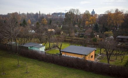 Ogródki działkowe rozgrzebane