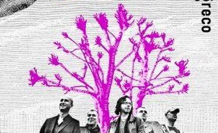 Pulsujące rytmami fraszki, poematy i pastisze