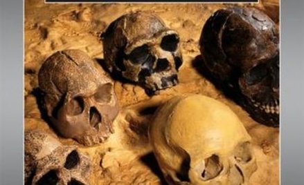 Nasze igraszki z pramałpami