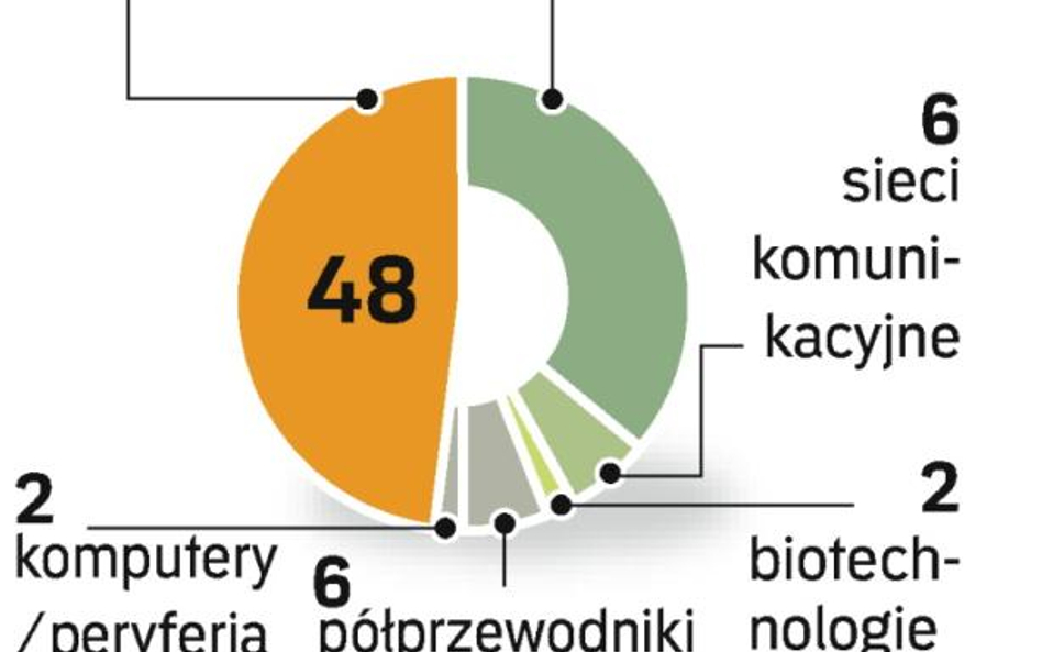 Producenci oprogramowania, zwłaszcza mającego zastosowanie w Internecie, są motorami rynku IT.