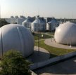 Łukasz Warzecha: Armagedon na schodach „Czajki”
