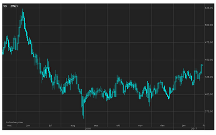 Ograniczenie krótkich pozycji pociągnęło kontrakty pszenicy CBOT do najwyższego poziomu od siedmiu m