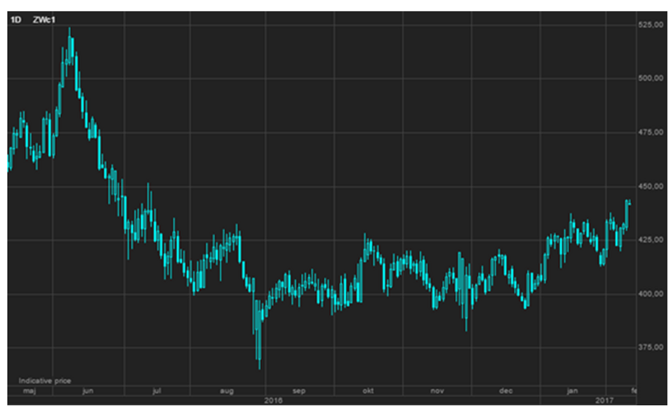 Ograniczenie krótkich pozycji pociągnęło kontrakty pszenicy CBOT do najwyższego poziomu od siedmiu m