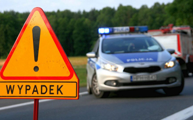 Nad bezpieczeństwem kierowców i pieszych podczas tegorocznej akcji "Znicz" czuwało ok. 5 tys. policj