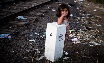 Czescy policjanci numerują uchodźców