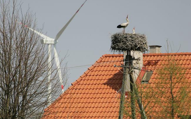 Ptaki nie zmieniły decyzji, ale elektrowni wiatrowych nadal nie ma - wyrok WSA