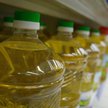 Jedną z kluczowych dla Kruszwicy kwestii są zbiory rzepaku