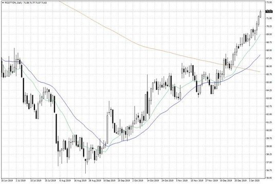 Notowania bawełny w USA – dane dzienne