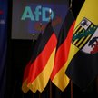 AfD otwiera się na polskie partie. „Jesteśmy gotowi współpracować”