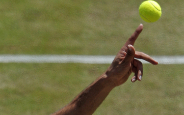 Wimbledon: Kubot i Melo w półfinale debla