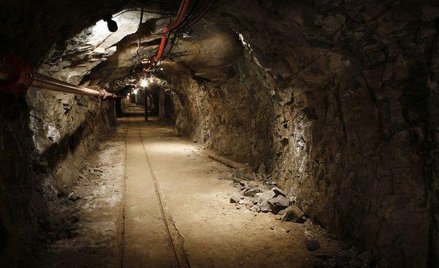 2,89 mld zł z górnictwa w 2011 r.