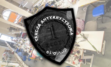 Co jeszcze oferują tarcze osłonowe?