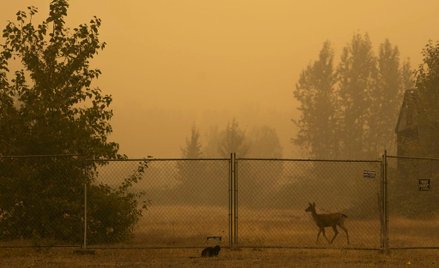 Masowa ewakuacja w stanie Oregon