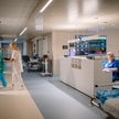 Szpitale obawiają się, że nowe uprawnienia Państwowej Inspekcji Pracy mogą doprowadzić do wzrostu ko