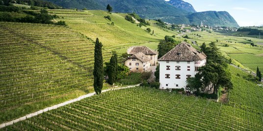 Winnica Vigna „Kastelaz” należąca do rodziny Walch.