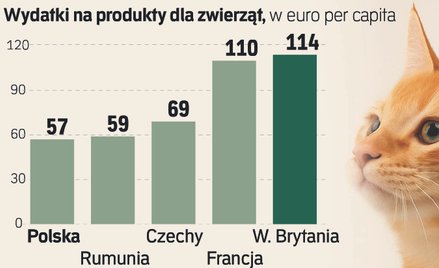 Przybywa zwierząt domowych, wydajemy na nie już 10 mld zł. A dzieci rodzi się mniej