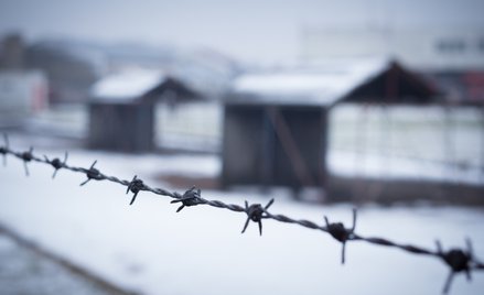 Zofia Brzezińska: Późna sprawiedliwość