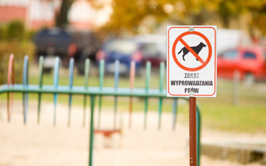 Sąd: Koniec zakazu dla zwierząt na placu zabaw