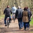 Rowerzysta czy pieszy - pierwszeństwo na chodniku, poboczu i leśnej ścieżce