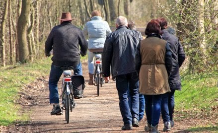 Rowerzysta czy pieszy - pierwszeństwo na chodniku, poboczu i leśnej ścieżce