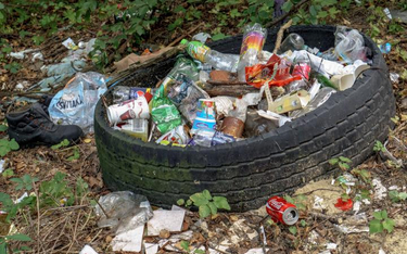 Samorządowcy chcą zaostrzenia kar za nielegalne składowanie śmieci