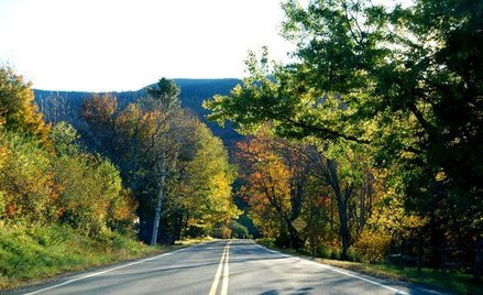 Drogi publicznej nie można zasiedzieć
