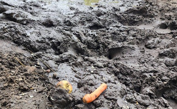 Nieodpowiedzialne zachowanie kobiety mogło być tragiczne w skutkach