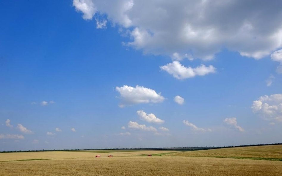 Transakcje KSG Agro