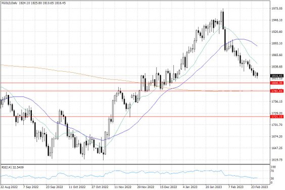 Notowania złota – dane dzienne