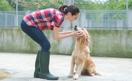 Program finansowania zadań nie musi być szczegółowy