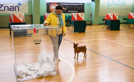 Druga tura wyborów samorządowych. W 748 gminach w Polsce odbyło się ponowne głosowanie w wyborach wó