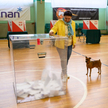 Druga tura wyborów samorządowych. W 748 gminach w Polsce odbyło się ponowne głosowanie w wyborach wó