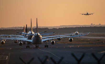 Linie lotnicze powinny wrócić do zysków w przyszłym roku
