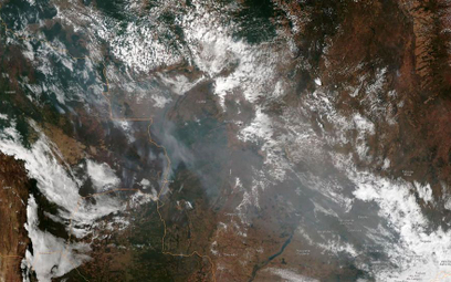 Amazonia płonie: Liczba pożarów wzrosła o 84 proc.