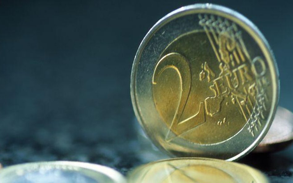 NBP: odłóżmy przyjęcie euro