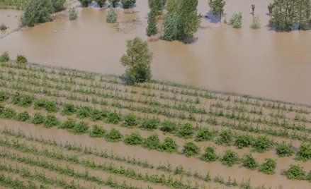 Atrakcyjna działka może być bezwartościowa – wystarczy, że jest na terenie zalewowym