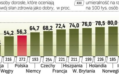 Polacy liczą głównie na publiczną służbę zdrowia