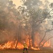 Australia stanęła w ogniu: Pożary trawią kraj