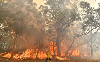 Australia stanęła w ogniu: Pożary trawią kraj
