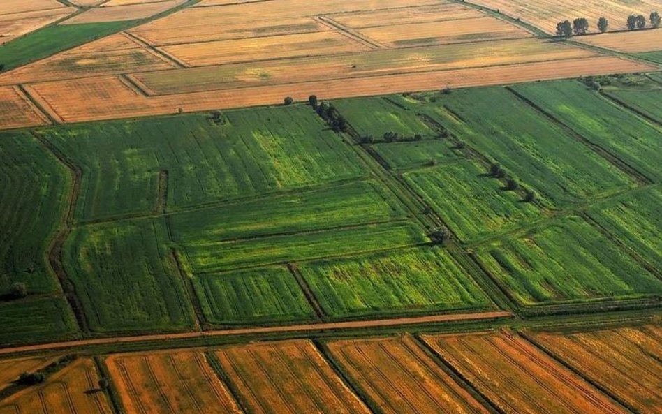 Gminom łatwiej będzie określić plany dla posiadanych gruntów