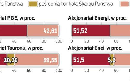 Przewaga głosów skarbu państwa