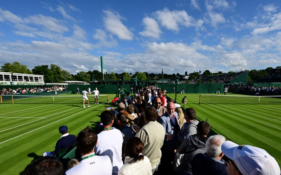 Wimbledon: polski dzień kobiet