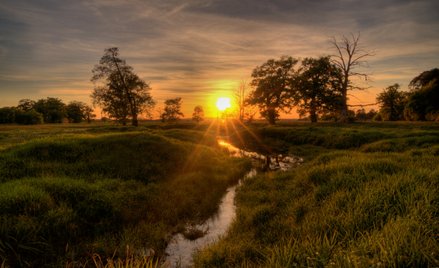 Zakazy na terenie parków krajobrazowych