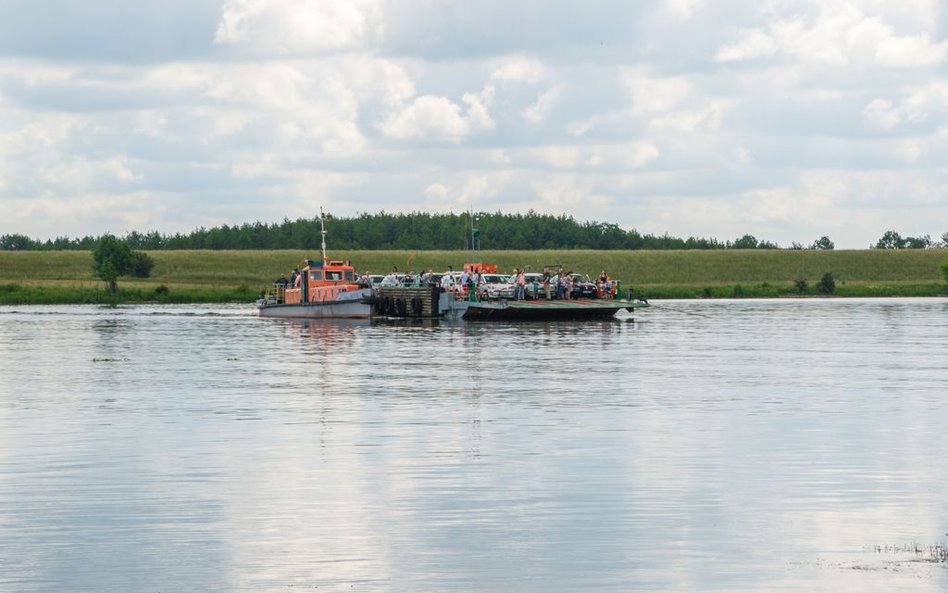 Światowe Jamboree Skautowe miałoby odbyć się na Wyspie Sobieszewskiej w 2023 roku.